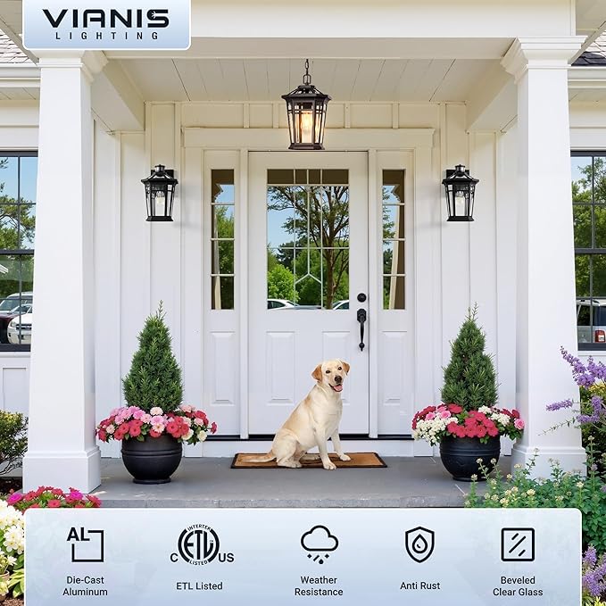 VIANIS Large Outdoor Pendant Light, Oil Rubbed Bronze Outside Hanging Lights, Hanging Porch Light Fixture with Adjustable Chain, 100% Aluminum Waterproof Anti-Rust Ceiling Lighting for House, Doorway
