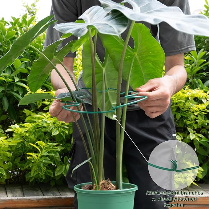 5PCS Monstera Plant Support Stem 9 x 7.6 in- Durable Stabilizer Set for Indoor Climbing Plants, Holders for Enhancing Growth, Ideal Gift for Plant Lovers, Fishbone Cactus Stake Garden Tool