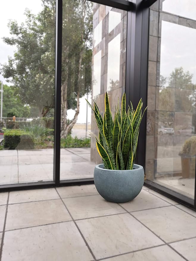 Kante 11.8" Dia Round Concrete Planter, Outdoor/Indoor Large Bowl Plant Pots with Drainage Hole and Rubber Plug for Garden Patio Balcony Home, Slate Gray