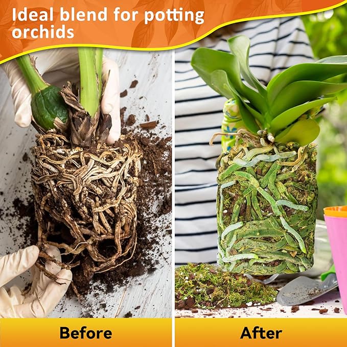 Riare 2QT Orchid Potting Mix for Repotting- Orchid Repotting Kit Include Moss, Pine Bark, Perlite, Coco Peat- Premium Orchid Soil Medium for Indoor Potted Plants Root Ventilation & Expanding