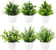 Yoratee Artificial Plant 6PCS Small Fake Plant Greenery Potted Plant Cute Indoor Faux Plant Houes Office Table Desk Bathroom Decor Plants