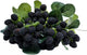 M2cbridge Artificial Raspberry Red Berry Strawberry Faux Fruit BlackBerry Props Table Decoration (Black,8PCS)
