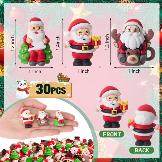 Sonwyoung 30 Pcs Christmas Mini Gnomes, Santa