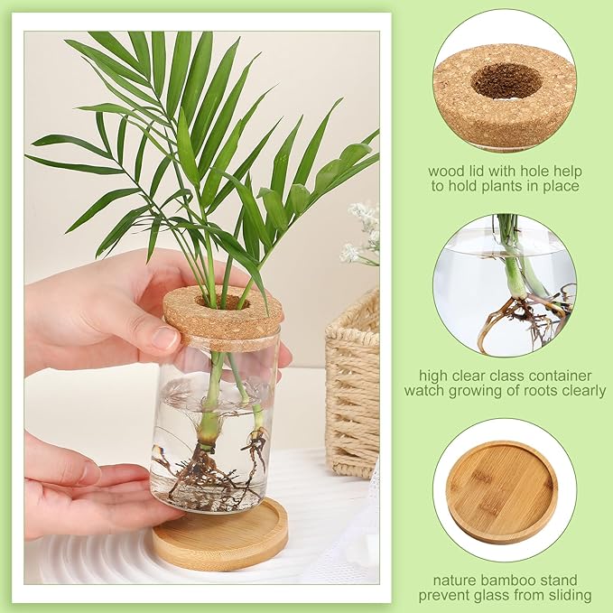 Layhit 4 Pcs Plants Propagation Stations vases Glass Planters with Wooden Lid and Bamboo Stand for Hydroponic Plants Gardening Gifts for Women Mom Home Office Tabletop Decoration(Stylish Style)