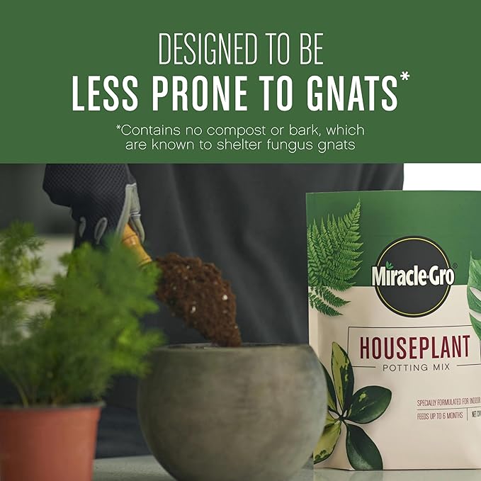 Miracle-Gro Houseplant Potting Mix: Fertilized, Perlite Soil for Indoor Gardening, Designed to Be Less Prone to Gnats, 4 qt.