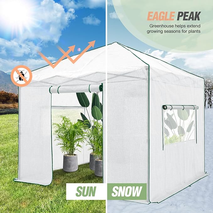 EAGLE PEAK Instant Pop-up Greenhouse, Indoor Outdoor Plant Gardening Green House, Roll-Up Zipper Doors and Side Windows, Walk in 10x10 ft, White/Clear