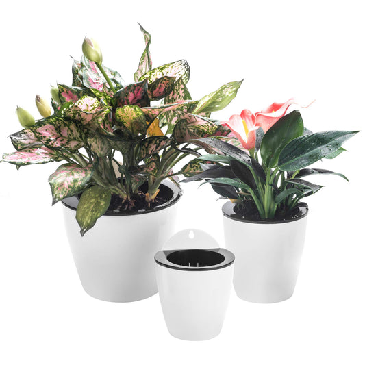 3 Pack Self Watering Wall Hanging Planter Pots Vertical Garden Window Hang Mount Indoor Outdoor Plant Flower Basket for Kitchen Herbs Balcony Railing Shelf Fence Bedroom Trellis Decor Modern White Box