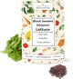 Black Seeded Simpson Heirloom Lettuce Seeds for Planting - Over 1,700 Non-GMO Seed Pack for Indoors, Outdoors, or as Hydroponic Seeds - Beginner-Friendly Green Leaf Lettuce Seed | Woods Creek Seeds