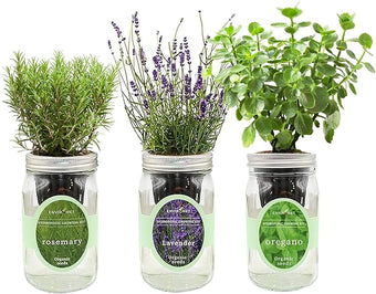 Environet Hydroponic Herb Growing Kit Set, Self-Watering Mason Jar Herb Garden Starter Kit Indoor, Windowsill Herbs Garden, Grow Your Own Herbs from Organic Seeds (Rosemary, Lavender, Oregano)