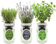 Environet Hydroponic Herb Growing Kit Set, Self-Watering Mason Jar Herb Garden Starter Kit Indoor, Windowsill Herbs Garden, Grow Your Own Herbs from Organic Seeds (Rosemary, Lavender, Oregano)