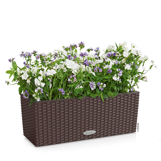 Lechuza BALCONERA Cottage 50 Mocha, Self-Watering Window Box (Railing Planter), H7.5 L19.7 W7.5 in