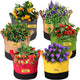 Grow Bags 7 Gallon,6 Pack Fabric Plant Pots with Handles Planter Bag for Outdoor Garden Planting Vegetables Flowers Fruit