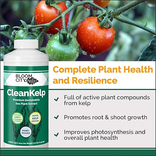 Organic Liquid Seaweed and Kelp Fertilizer Supplement by Bloom City, (8 oz) Concentrated Makes 45 Gallons