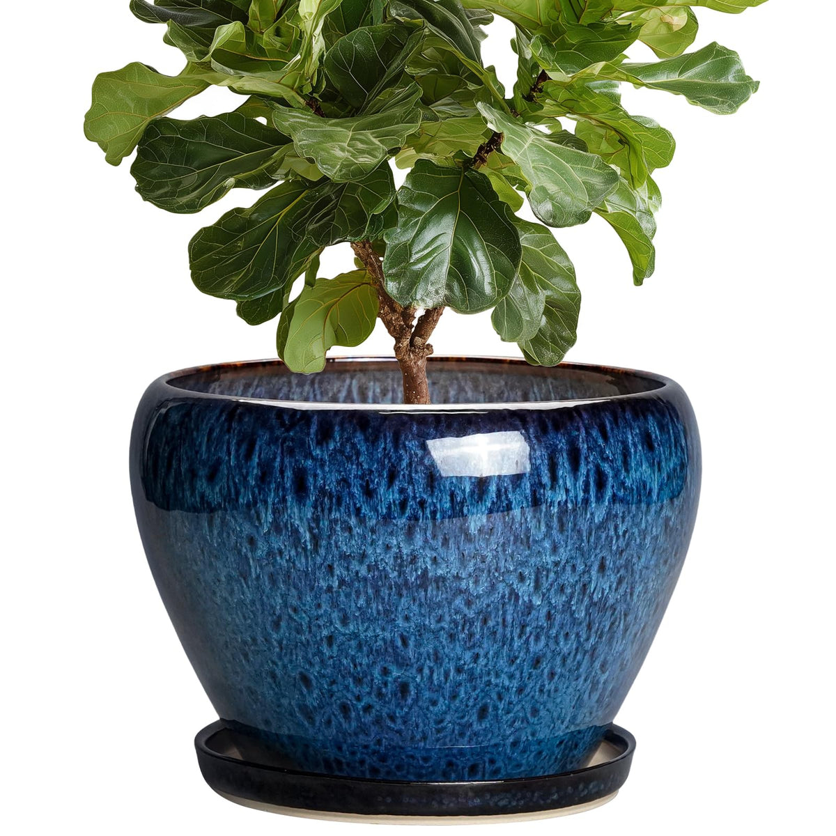 Thirtypot 10 Inch Plant Pot, Ceramic Planter with Drainage and Saucer, Blue