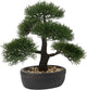 Artificial Bonsai Tree Juniper Faux Plants Indoor Small Fake Plants Decor with Black Plastic Pots for Home Table Office Desk Bathroom Shelf Bedroom Living Room Farmhouse Decorations