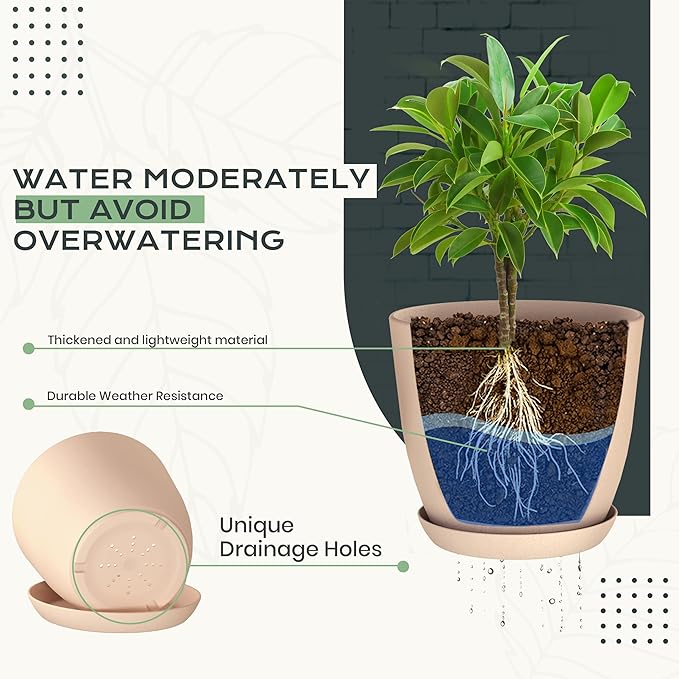 Utopia Home - Plant Pots Indoor with Drainage - 7/6.6/6/5.3/4.8 Inches Home Decor Flower Pots - Plastic Planters for Indoor Plants, Cactus, Succulents Pot (Pink, Pack of 10)