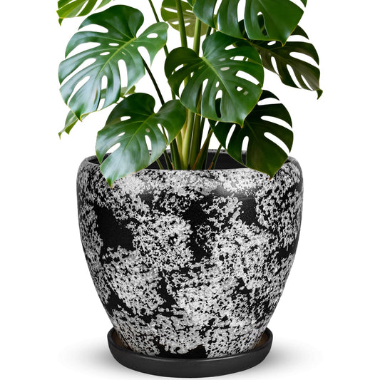 Ceramic Plant Pots With Saucer & Drainage Hole, 6 inch Indoor Flower Pots