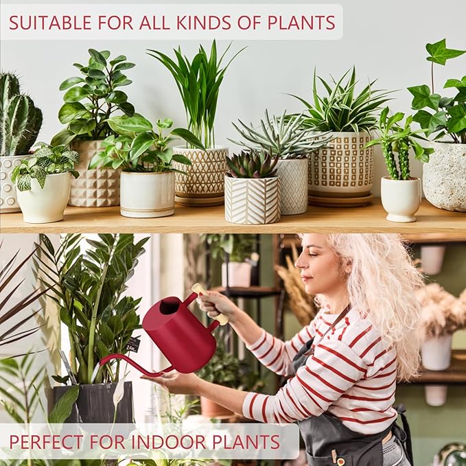 Watering Can Indoor Plants, 35oz Small Stainless Steel Metal Watering Can Modern Decorative Watering Pot with Long Spout for Indoor House Plant Bonsai Garden Flowers (Red)