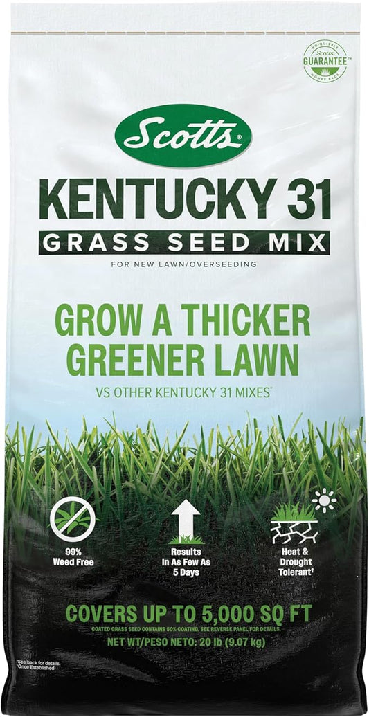 Scotts Kentucky 31 Grass Seed Mix for New Lawns or Overseeding, Grows Thicker and Greener vs. Other Kentucky 31 Mixes, Covers up to 5,000 sq. ft.
