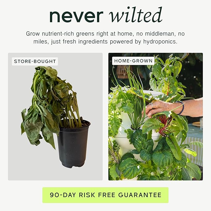Farmstand Starter Kit with Glow Rings and 30 Seedling Credits | Family Hydroponic Growing System Kit | Vertical Garden Planter Tower | 5ft 5in Tall