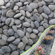 18LB River Rocks,Mexican Beach Pebbles for Plants,Potting,Garden Landscape Stone Paving Stone Grey 1Inch - 2Inch