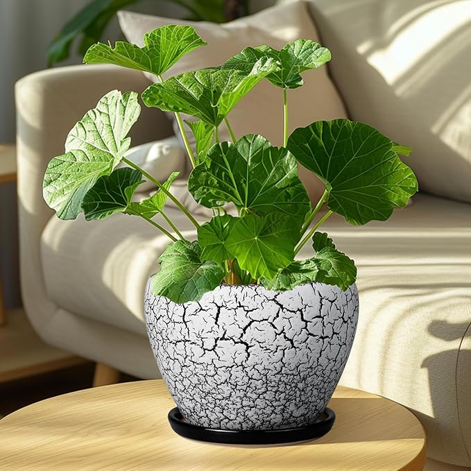 Ceramic Plant Pot 8 Inch - Ceramic Planter for Indoor Plants, Round Flower Pot with Drainage Hole and Saucer, Glaze White and Black