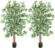GTIDEA 2 Pcs 5ft Ficus Artificial Trees, Tall Faux Trees Indoor with Natural Trunk and Fake Silk Tree Fake Plants for Home Fall Decor Living Room Outdoor Balcony House Office (Included Dried Moss)