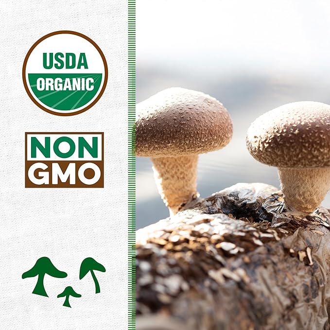 Back to the Roots Organic Shiitake Mushroom Kit; Great Gift; Easy for Beginners, For Indoor Growing (Start Growing Right Away)
