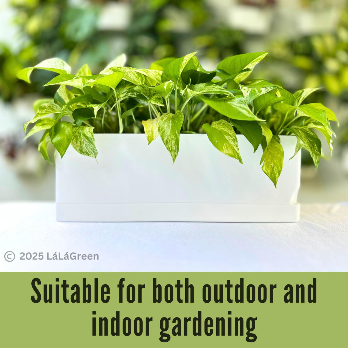 LaLaGreen Planters for Indoor Plants (7 Pack) White Window Boxes Planter