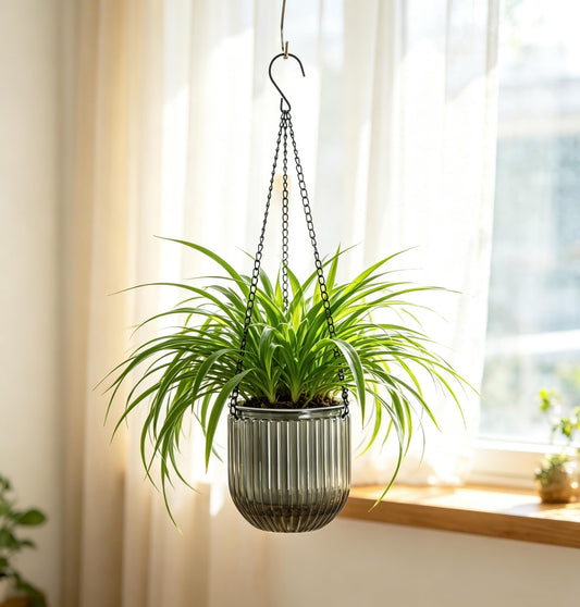 Melphoe 2 Pack Self Watering Hanging Planters Indoor Flower Pots, 5.3 Inch Outdoor Hanging Basket, Plant Hanger with 3Hooks Drainage Holes for Garden Home (Gray)
