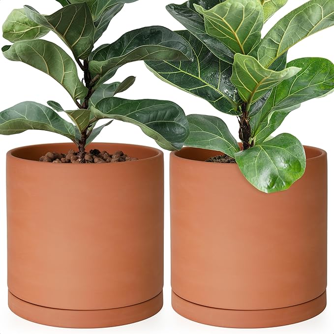 D'vine Dev Large 10 Inch Terracotta Plant Pot with Drainage Hole and Saucer, Round Cylinder Planter Pot for Indoor Plants, Set of 2, 40-X-B-5