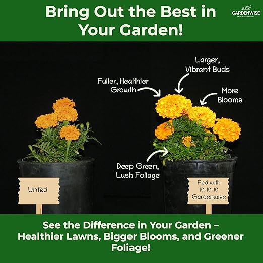 10-10-10 Plant Fertilizer Slow Release - 10 10 10 All Purpose Granular Garden Fertilizer for Vegetables, Tomato, Arborvitae, Shrubs, Rose, Flowers, Fruit, Fig Trees (4 QUARTS)