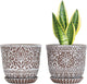 Gepege 6 Inch Ceramic Planter, Plant Pot with Drainage Holes and Saucers for Indoor Plants, Small Flower Pot, Birthday for Women Mom
