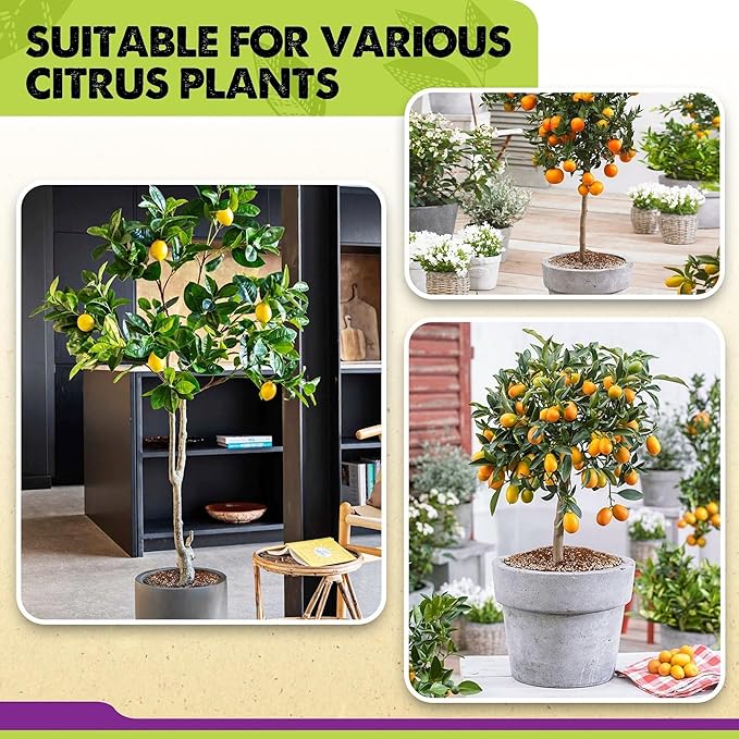 DUSPRO Recycle Citrus Tree Potting Soil Mix for Potted Lemon Tree, Specialized for Oranges, Fruit Tree Indoor Planting Pre-Mixed 4-in-1 Ready to Use (6 Quarts)