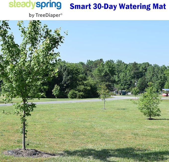 SteadySpring® Smart 30+Day Tree Watering Mat Auto Refills with Rain for Trees with ~20 in (16 in to 23 in) Root Ball - Watering Mat Plus Weed Barrier and Frost Protection Blanket (1)