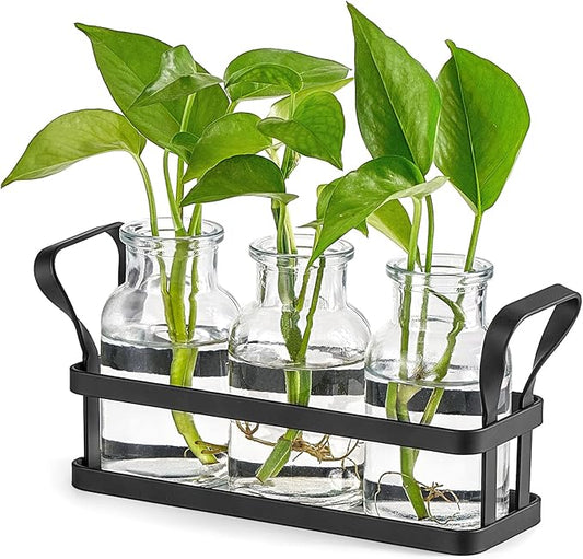 Mkono Propagation Stations with Metal Stand, Desktop Plant Terrarium Glass Planter Vase for Hydroponic Plants Flower Cutting Home Office Garden Decor Plant Lover Gifts, 3 Jars