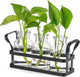 Mkono Propagation Stations with Metal Stand, Desktop Plant Terrarium Glass Planter Vase for Hydroponic Plants Flower Cutting Home Office Garden Decor Plant Lover Gifts, 3 Jars