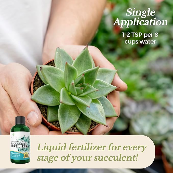 Professional Liquid Succulent Plant Fertilizer | 3-1-2 Concentrate for Plants and Flowers | Multi-Purpose Blend & Gardening Supplies | 8 oz Bottle