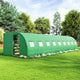 AMERLIFE 30×10 FT Tunnel Greenhouse with Built-in Sprinkler System, Walk-in Greenhouse for Backyard Gardening, Heavy Duty Galvanized Steel Frame & Waterproof PE Cover, Green