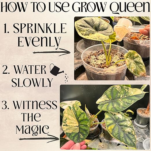 Grow Queen Organic Plant Food, Indoor Plant Food for Houseplants & Aroids, Organic Fertilizer for Flower & Vegetable Gardens, 1lb = 25 Servings, Feeds 50 gal Instantly and Slow Release