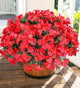 Ivydale Artificial Bougainvillea Flowers for Outdoors Spring Summer Decor, 4 Bundles Fake Red Silk Flowers for Outside Faux Plants UV Resistant Realistic for Outdoor Planters Patio Porch Garden Home