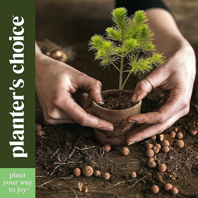 Planter's Choice Bonsai Tree Starter Kit - Unique Gifts for Women, Men - Birthday Gifts for Adults - Indoor Live House Plants - DIY Crafts for Adults Craft Kits - Hobby Gift for Gardening Lovers