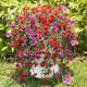 Playieer Artificial Hanging Flowers for Outdoors Faux Plants for Spring Summer Decoration,6 Bundles UV Resistant Realistic Silk Flowers Indoor Outside Garden Porch Patio Balcony Yard Farmhouse