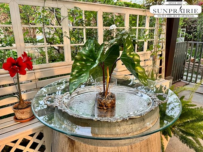 SUNPRAIRIE Tropical Artificial Plant in Clear Pot with Artificial Water, Wide Arrowhead Leaves. Faux Plants Indoor and Outdoor