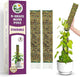 DUSPRO D-Shaped Plastic Moss Poles for Climbing Plants Monstera Stackable Moss Pole for Plants Moss Plant Pole Handmade Moss Stick for Indoor Plants Grow Upward 2 Pack 16.5 inches
