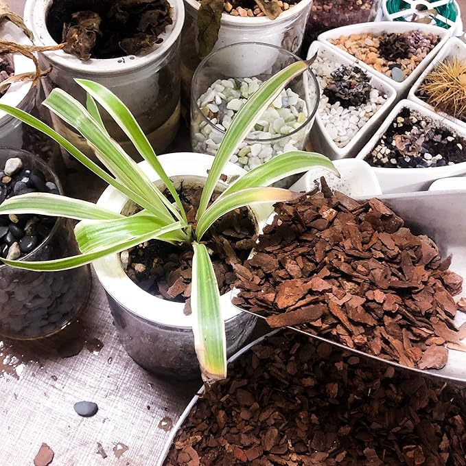 9 qt Organic Orchid Potting Bark -Natural Mulch for Potted Plants, Root Development of Orchid Plants and Garden Soil Amendment Mix