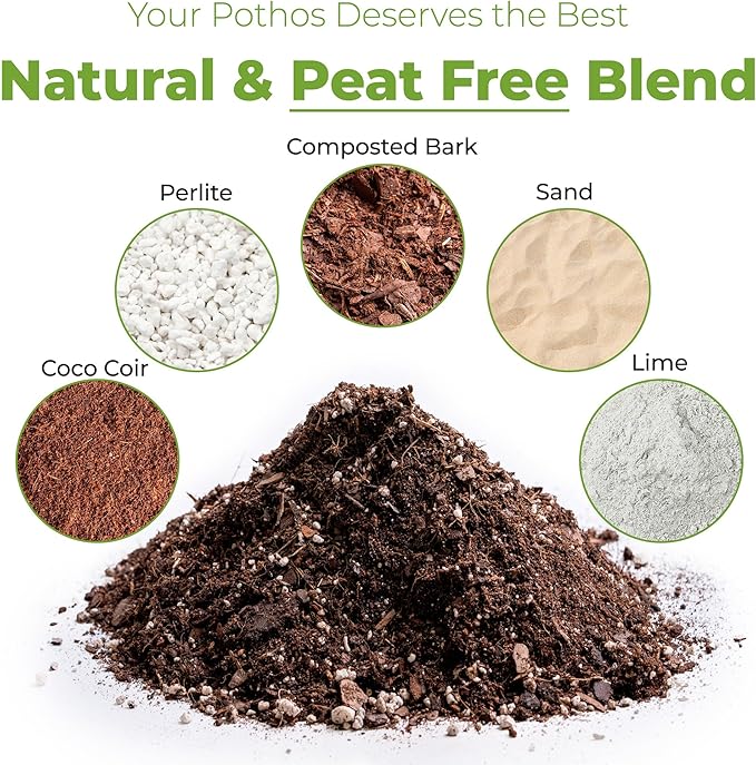 Perfect Plants Organic Pothos Soil | Horticultural Potting Mix for All Indoor Potted Pothos | Grow Healthy houseplants Indoors (8qts.)