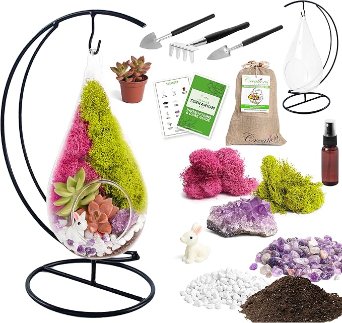 Creations by Nathalie - Plant Terrarium Kit W/Live Succulent (Fresh from Florida), Choose Your Glass DIY Terrarium Starter Kit for Adults, Metal Stand, Reindeer Moss, Crystal & Rocks, Tools, Figurine