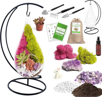 Creations by Nathalie - Plant Terrarium Kit W/Live Succulent (Fresh from Florida), Choose Your Glass DIY Terrarium Starter Kit for Adults, Metal Stand, Reindeer Moss, Crystal & Rocks, Tools, Figurine