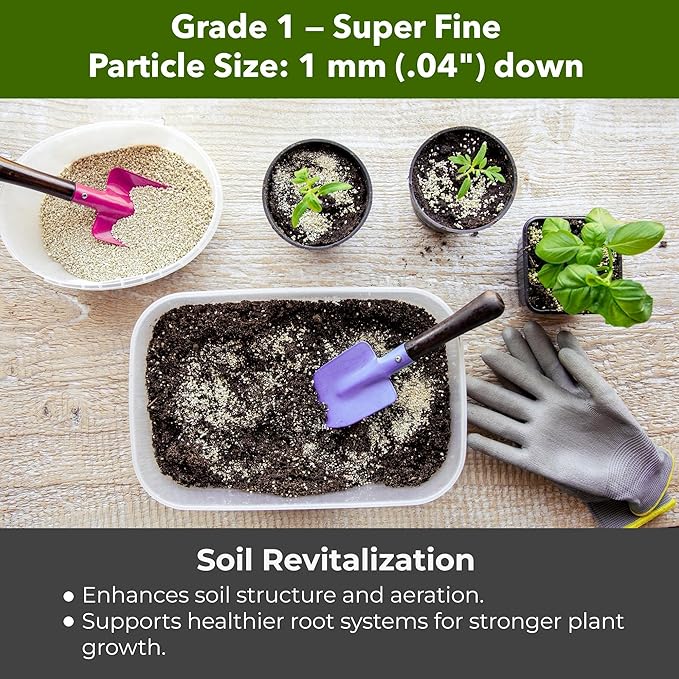 Organic Superfine Vermiculite for Indoor Gardening Plants and Mushrooms – Enhances Soil Aeration, Seed Germination, Rooting Cuttings – Small Packages and Bulk (Vermiculite Grade 1 - Superfine, 5 qt)